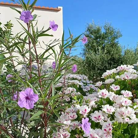 别墅 Stunning 2 Bedroom Private In Kastellos, Rethymno *